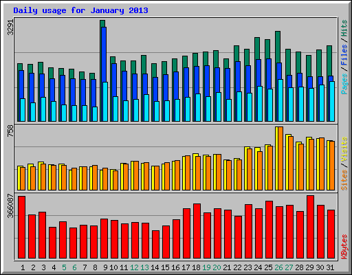 Daily usage for January 2013