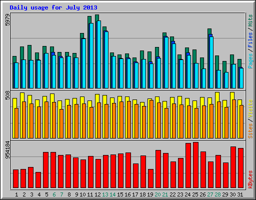 Daily usage for July 2013