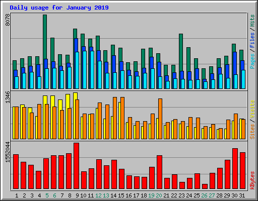 Daily usage for January 2019