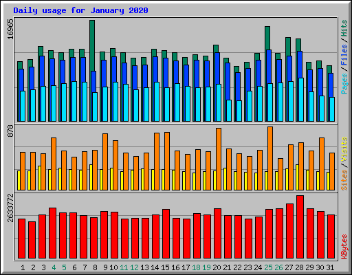 Daily usage for January 2020