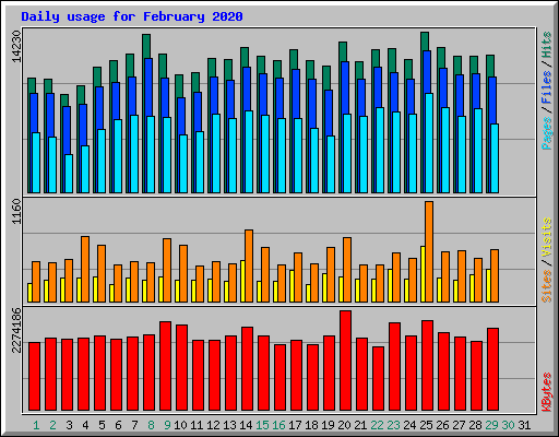 Daily usage for February 2020