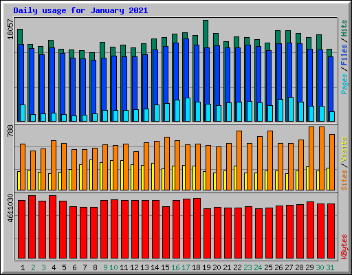 Daily usage for January 2021