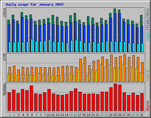 Daily usage for January 2022