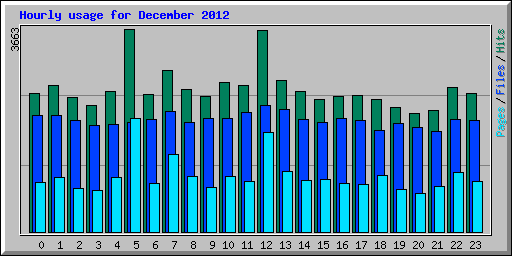 Hourly usage for December 2012