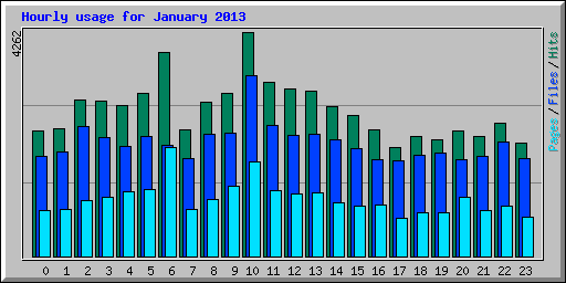 Hourly usage for January 2013