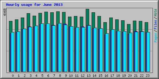 Hourly usage for June 2013