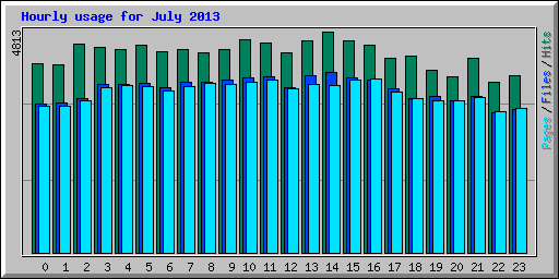 Hourly usage for July 2013
