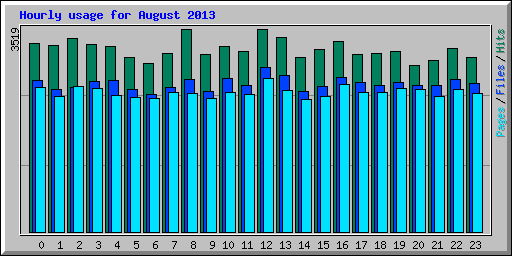 Hourly usage for August 2013