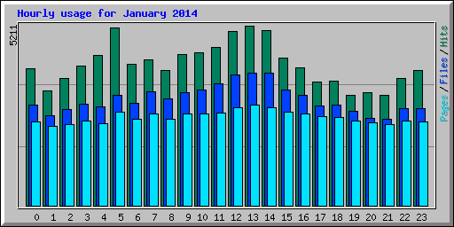 Hourly usage for January 2014