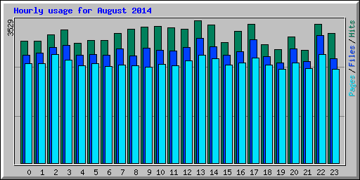 Hourly usage for August 2014