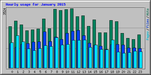 Hourly usage for January 2015