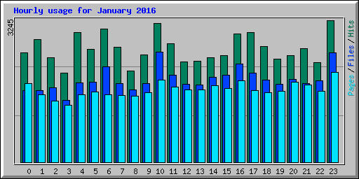 Hourly usage for January 2016