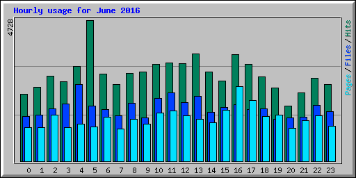Hourly usage for June 2016
