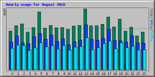 Hourly usage for August 2016