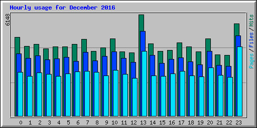 Hourly usage for December 2016