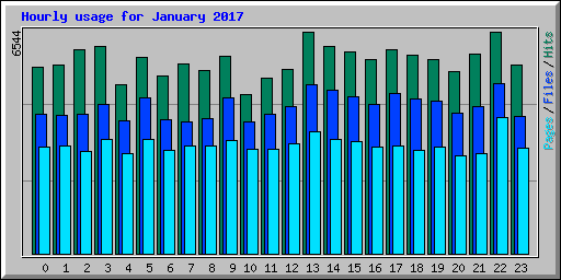 Hourly usage for January 2017