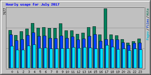 Hourly usage for July 2017