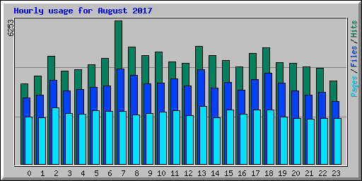 Hourly usage for August 2017