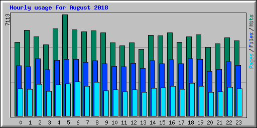 Hourly usage for August 2018