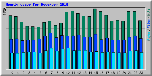Hourly usage for November 2018