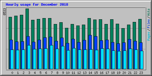 Hourly usage for December 2018
