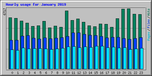 Hourly usage for January 2019