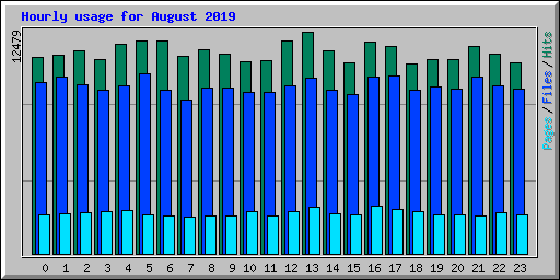 Hourly usage for August 2019