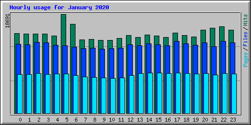 Hourly usage for January 2020
