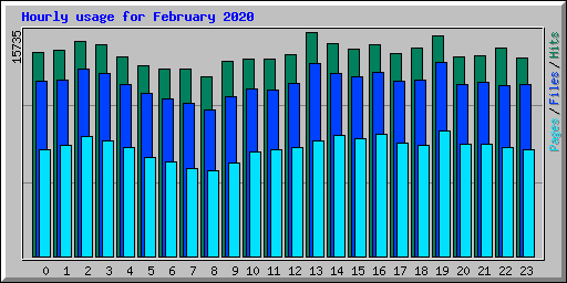 Hourly usage for February 2020