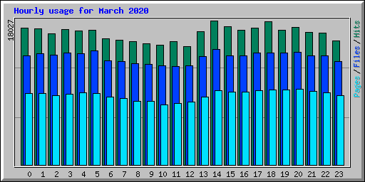 Hourly usage for March 2020