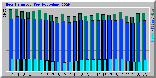 Hourly usage for November 2020