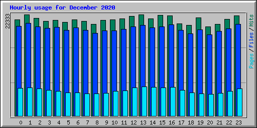 Hourly usage for December 2020