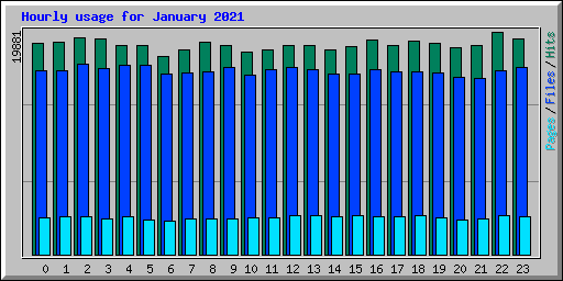 Hourly usage for January 2021