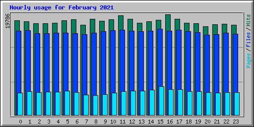Hourly usage for February 2021