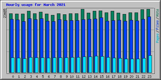 Hourly usage for March 2021