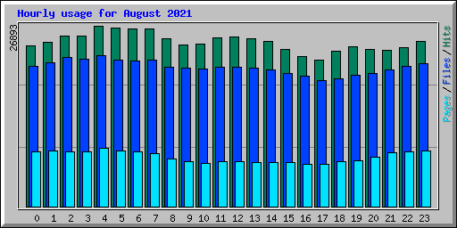 Hourly usage for August 2021