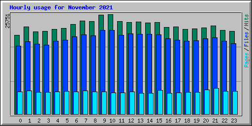 Hourly usage for November 2021