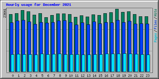 Hourly usage for December 2021