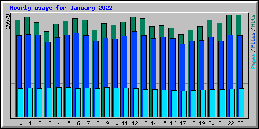 Hourly usage for January 2022