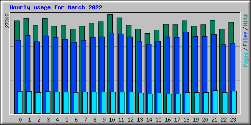Hourly usage for March 2022