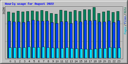 Hourly usage for August 2022
