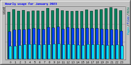 Hourly usage for January 2023