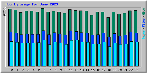 Hourly usage for June 2023