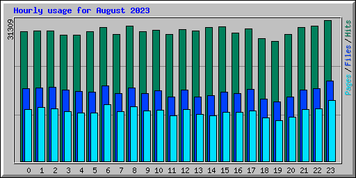 Hourly usage for August 2023